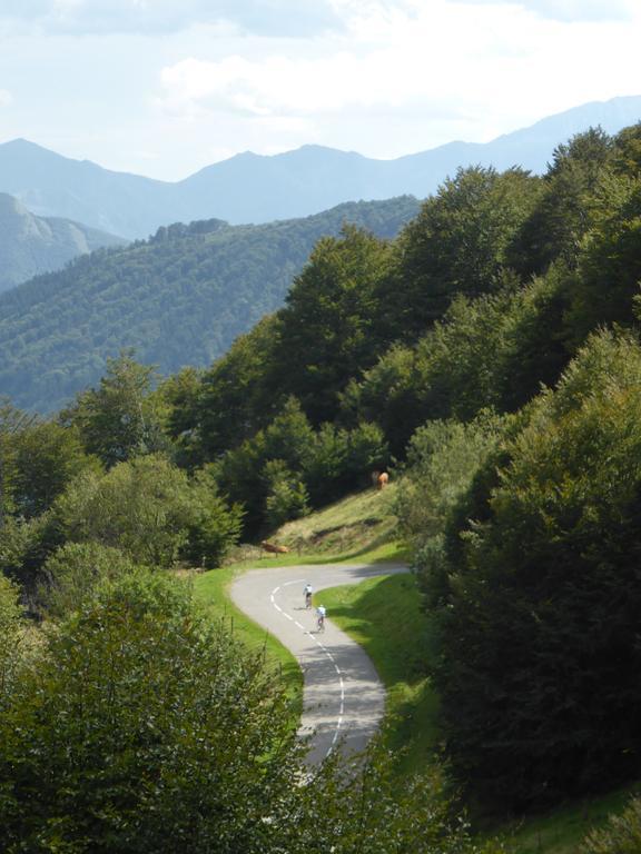 Bed and Breakfast Bedbreakfastbikespyrenees Loubieres Zewnętrze zdjęcie